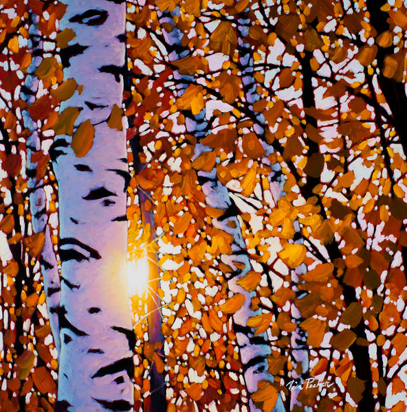 Algonquin Amber 2 24" by 24" and 30" by 30"