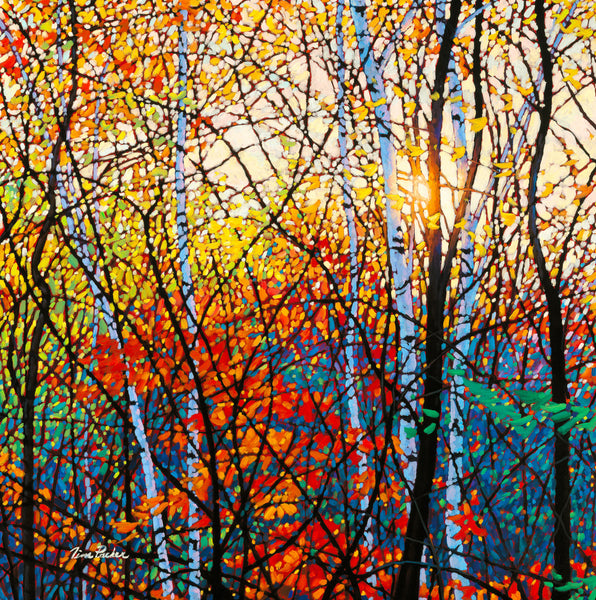 Birchapalooza #1 24" by 24" and 36" by 36"