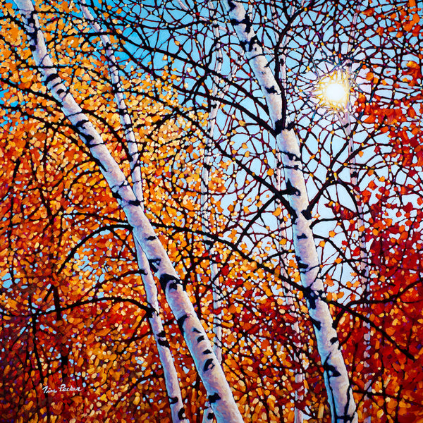 Amber Wave - Available at 8" by 8", 12" by 12" and 16" by 16"