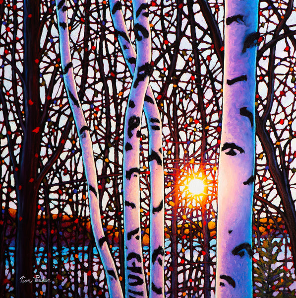 Morning Glow, Lake Baptiste -  Available at 8" by 8", 12" by 12" and 16" by 16"