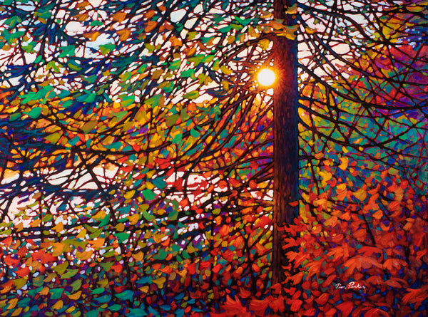 Morning Light, Brent Road 36" by 48"