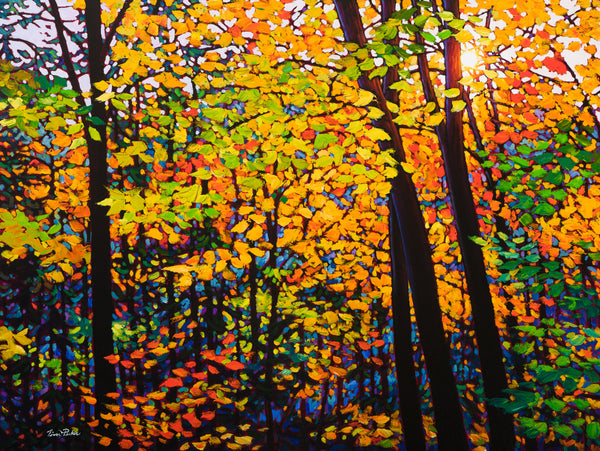 On the Right Path 30" by 40"