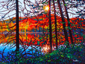 *ORIGINAL OIL* Northern Reflections 30" by 40"