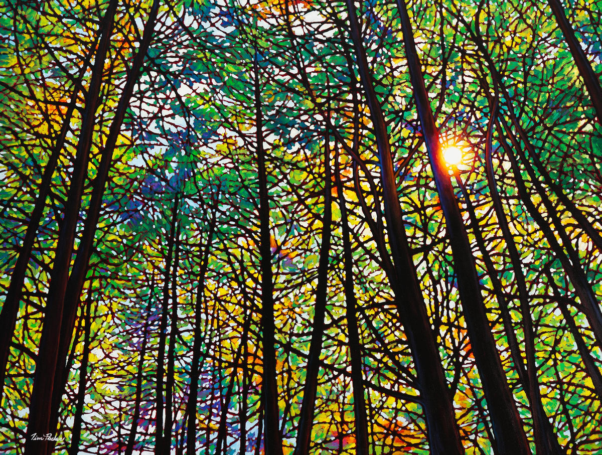 Shop Tim Packer Fine Arts - High Quality Fine Art Reproductions – Tim ...