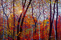 Rhapsody in Hues 30" by 45"