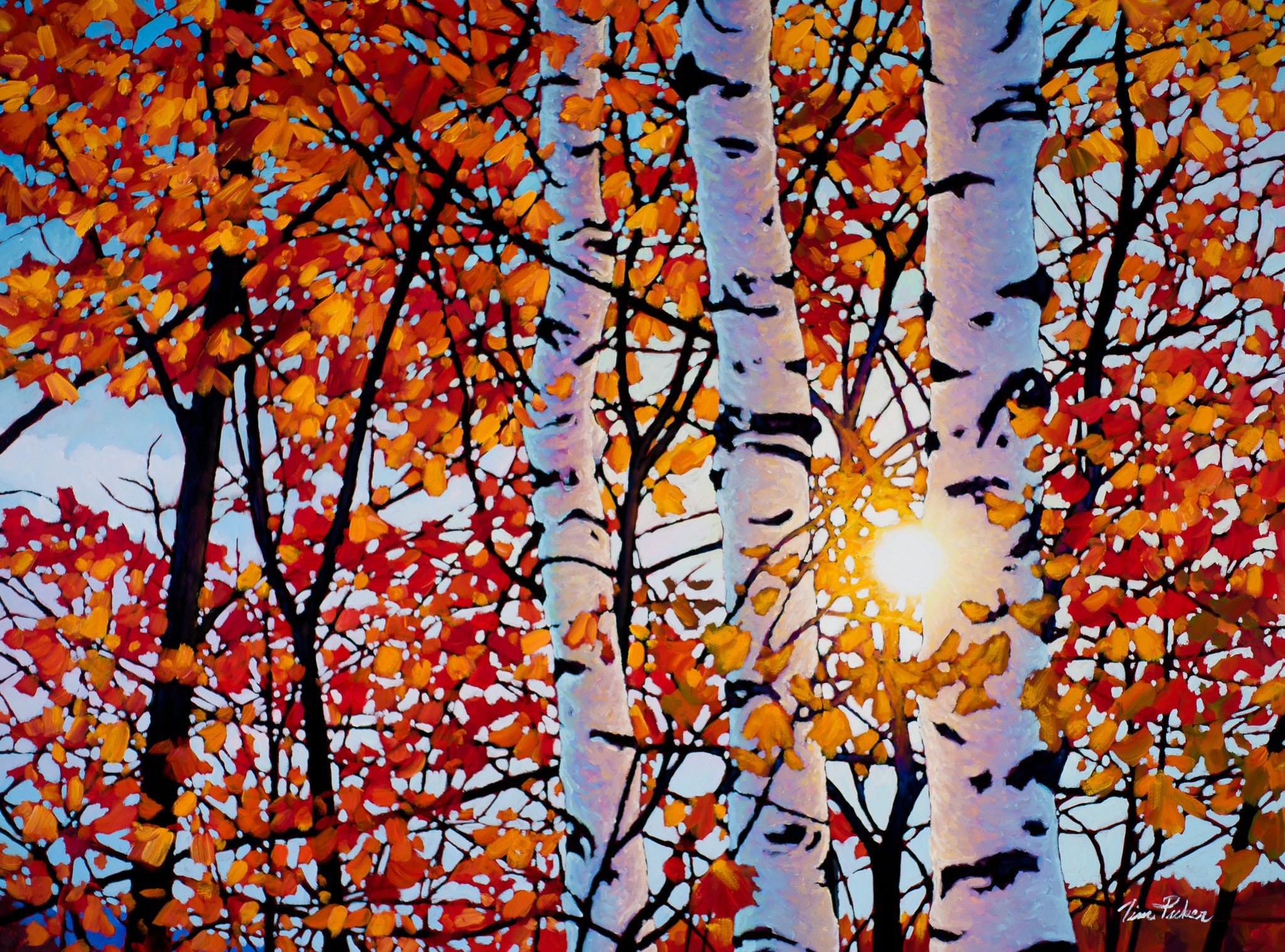 Golden Light Algonquin 30" by 40" and 36" by 48"