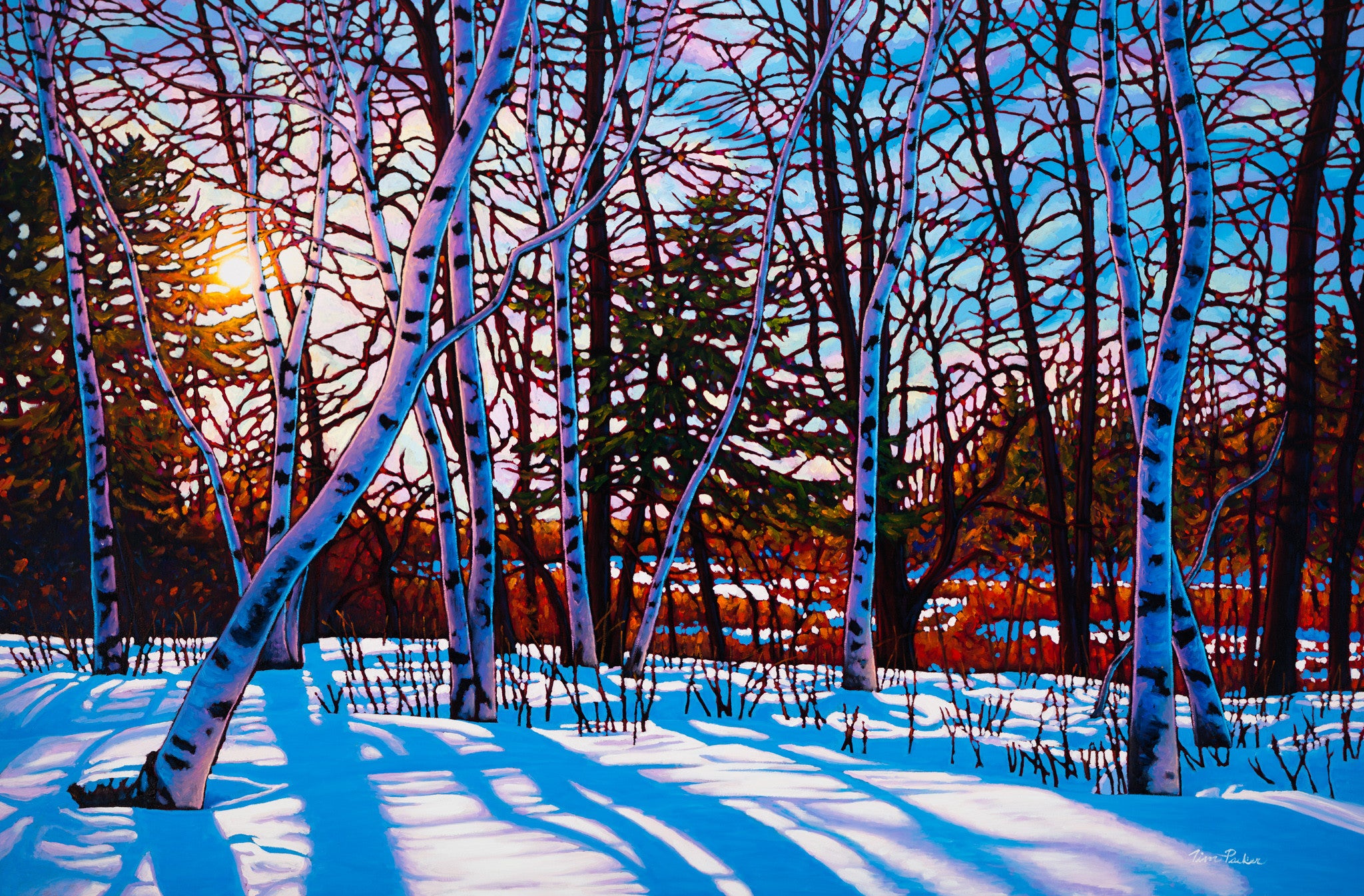 A Walk in the Woods, Lynde Marsh 38" by 57"
