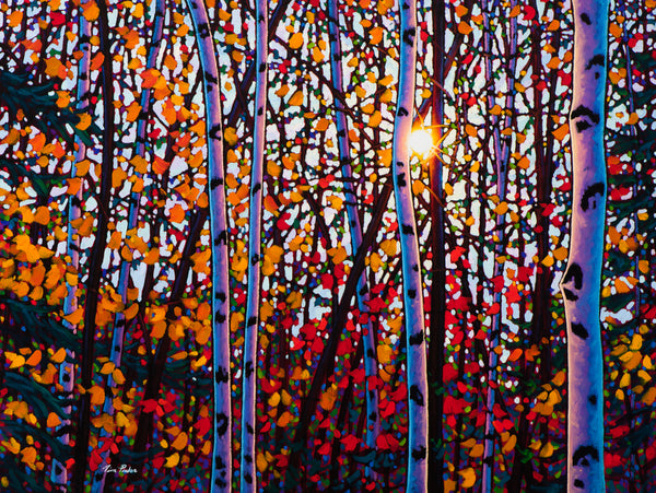 Brilliant Beauty 30" by 40"