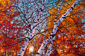 Cloth of Gold 38" by 57"