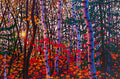 Enchanted 38" by 57" and 48" by 72" Diptych