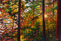 Glowing Pines, Batchewana Bay 38" by 57" and 48" by 72" Diptych
