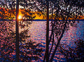 Morning Sun, Batchewana Bay 36" by 48"