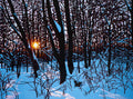 Quiet Moment 30" by 40" and 36" by 48"