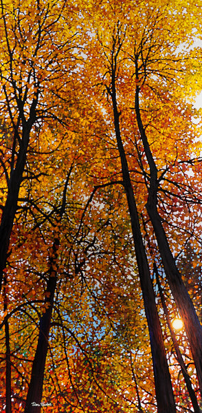 Reaching for Gold 36" by 72"