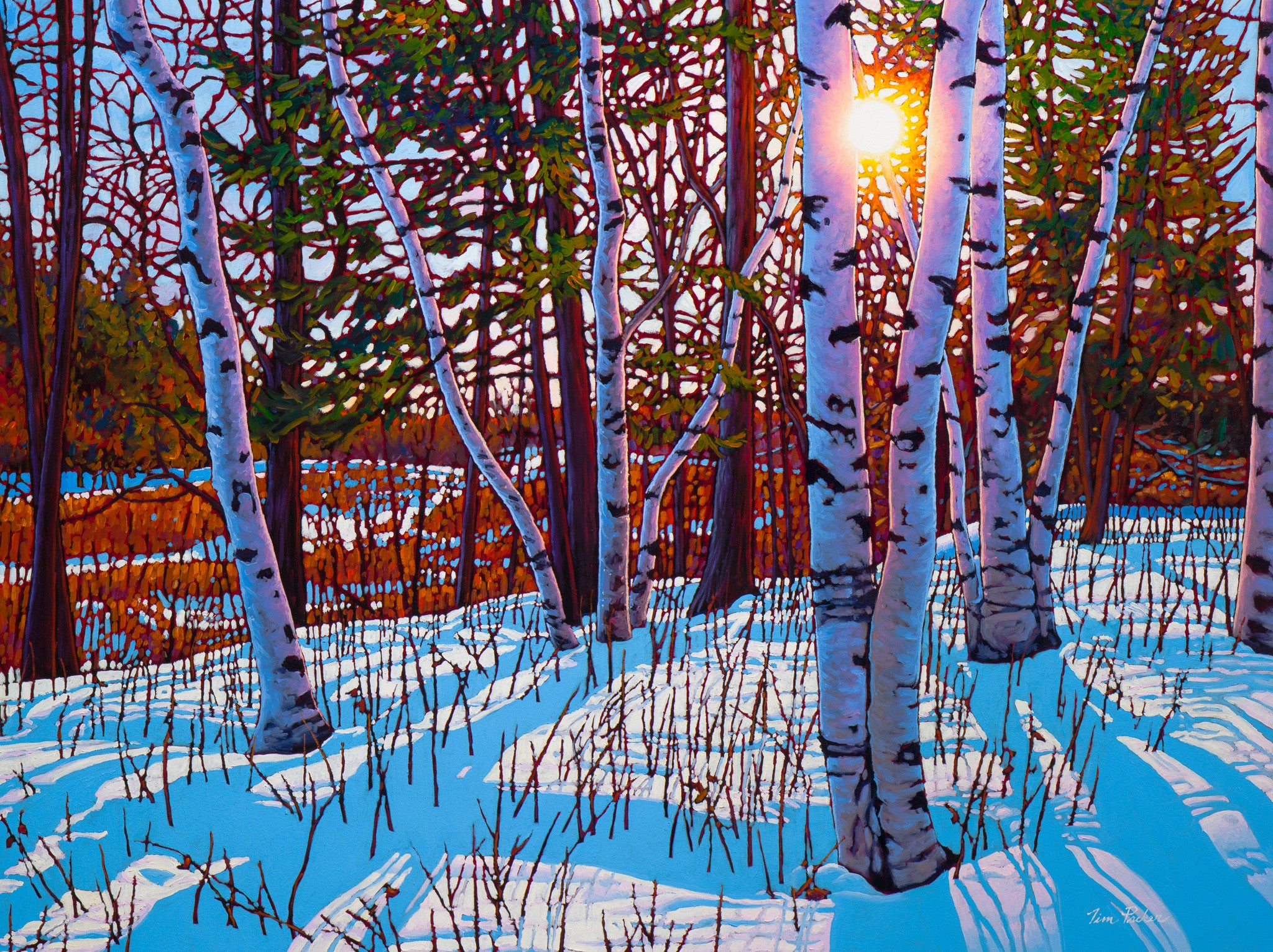 Still of the Morning 36" by 48"