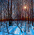 Wintershine 30" by 30" and 36" by 36"