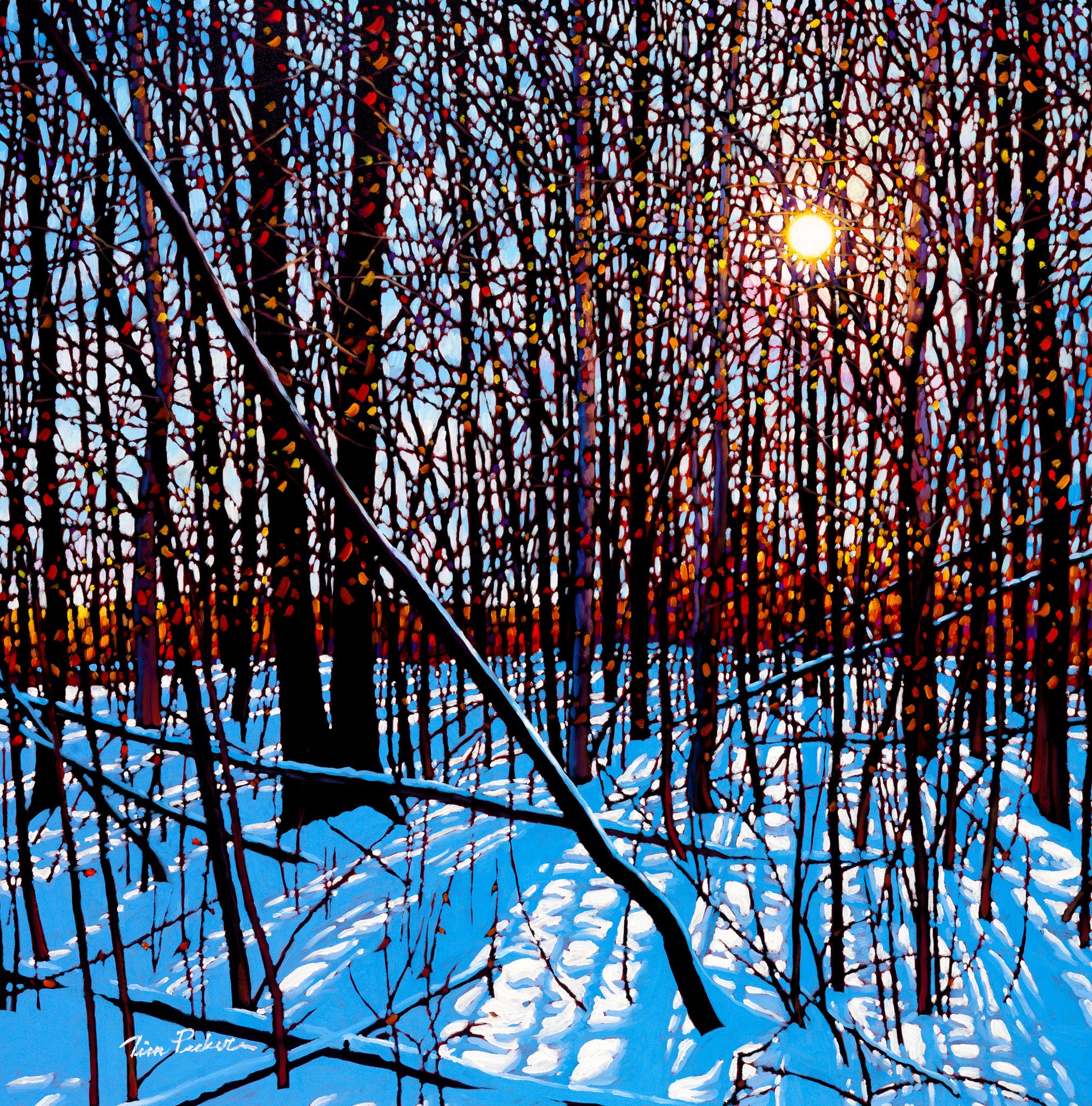 Wintershine 30" by 30" and 36" by 36"